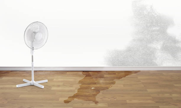  Dearborn Heights, MI Water damage restoration Pros