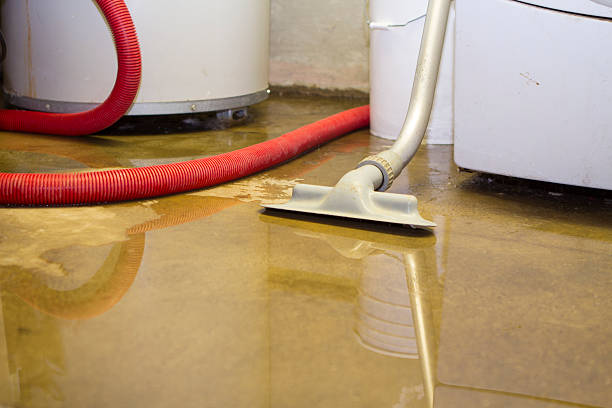 Best Sewage cleanup and water damage restoration  in Dearborn Heights, MI