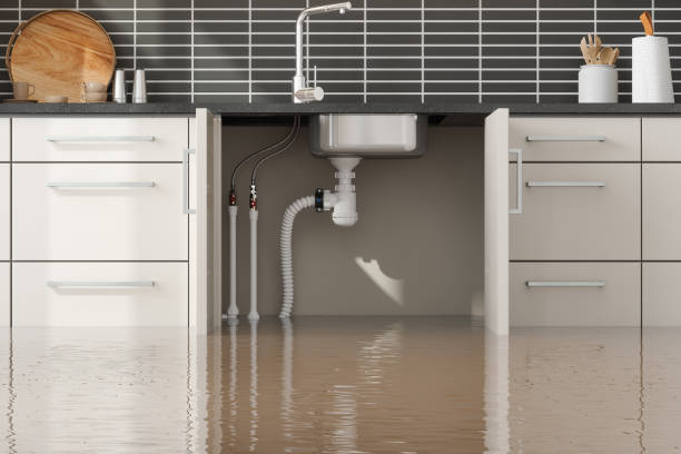 Best Commercial water damage restoration  in Dearborn Heights, MI